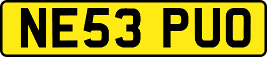 NE53PUO