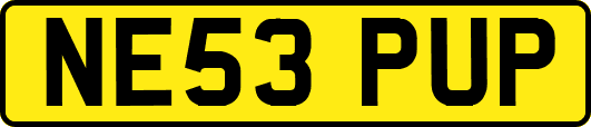 NE53PUP
