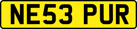 NE53PUR