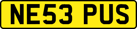 NE53PUS