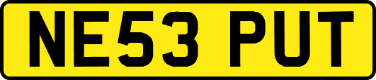 NE53PUT