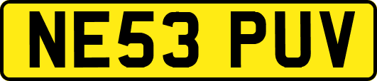 NE53PUV