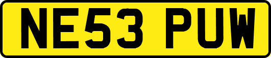 NE53PUW