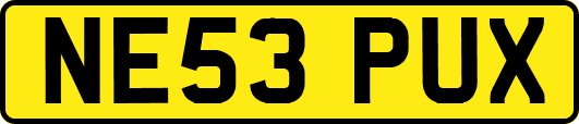 NE53PUX