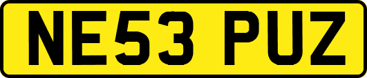 NE53PUZ