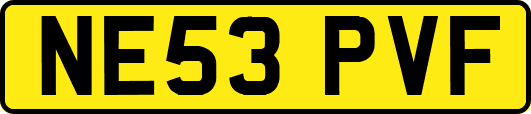 NE53PVF