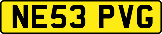 NE53PVG