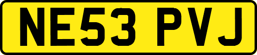 NE53PVJ