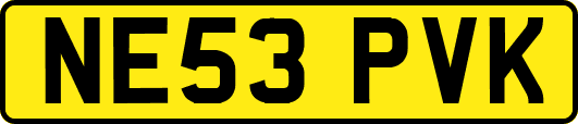 NE53PVK
