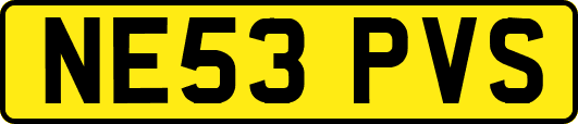 NE53PVS