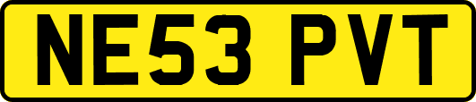 NE53PVT
