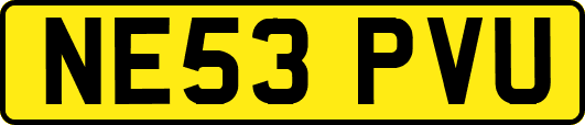 NE53PVU