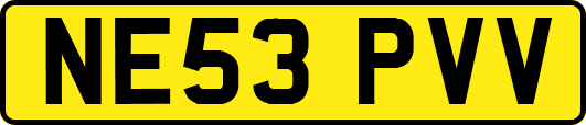 NE53PVV