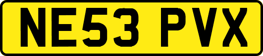 NE53PVX