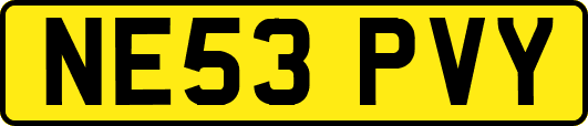 NE53PVY