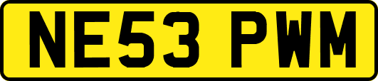 NE53PWM