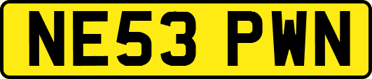 NE53PWN