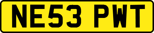 NE53PWT