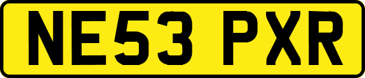 NE53PXR