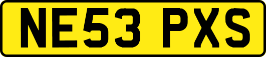 NE53PXS