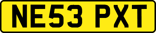 NE53PXT