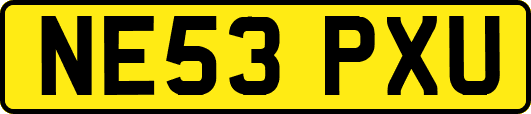 NE53PXU