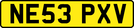 NE53PXV