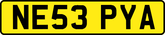NE53PYA