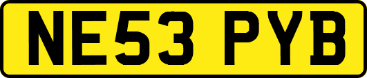 NE53PYB