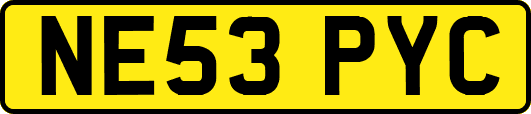 NE53PYC