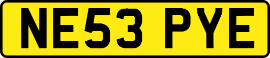 NE53PYE