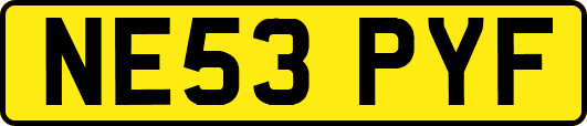 NE53PYF