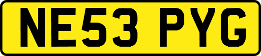 NE53PYG