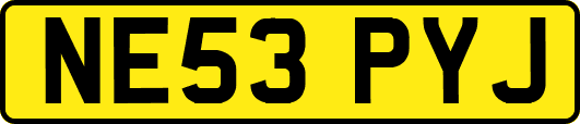 NE53PYJ