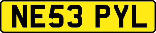 NE53PYL