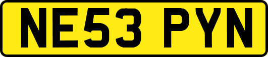 NE53PYN