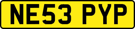 NE53PYP