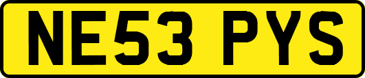 NE53PYS