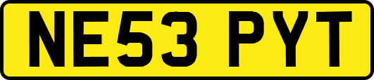 NE53PYT