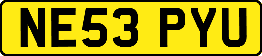 NE53PYU