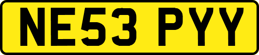 NE53PYY