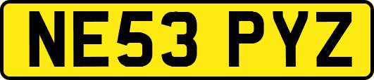 NE53PYZ