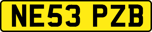 NE53PZB
