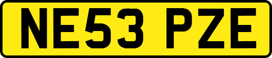 NE53PZE