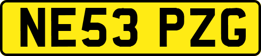 NE53PZG