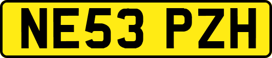 NE53PZH