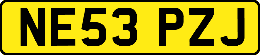 NE53PZJ