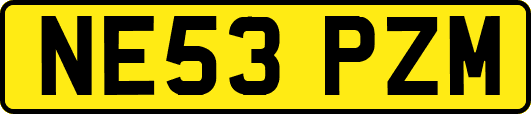 NE53PZM