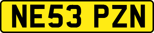 NE53PZN