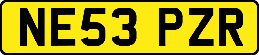 NE53PZR